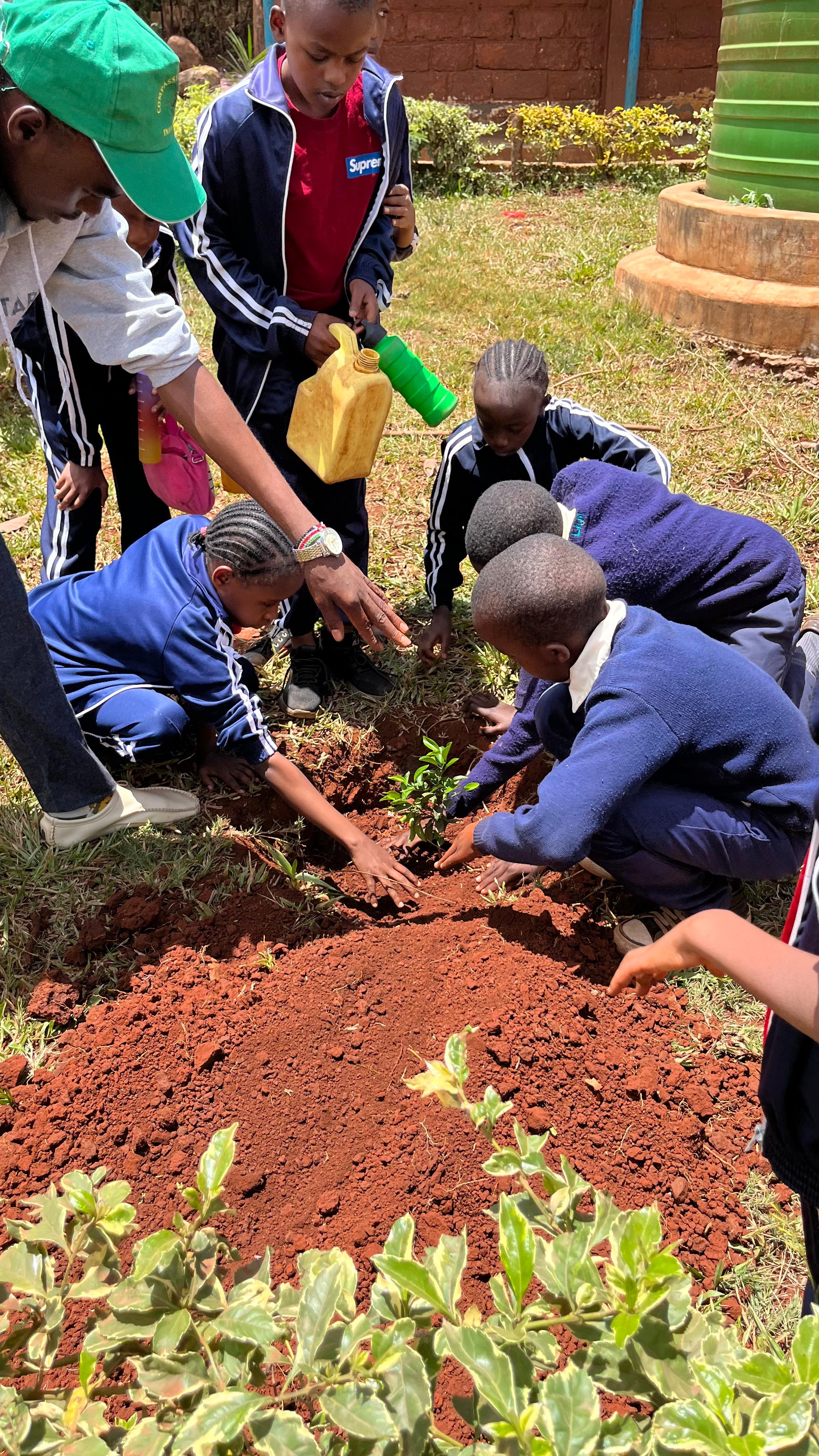 Mazingira Day 2025 - Tree potting session with pupils